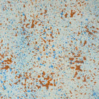 Bandeja Branca Com Trançado