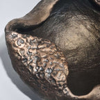 Vaso Decorativo Concha Com Efeito Rústico